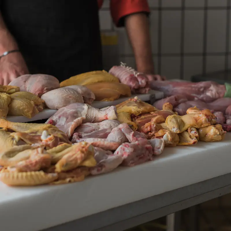 Pollo e carni bianche sul banco del laboratorio