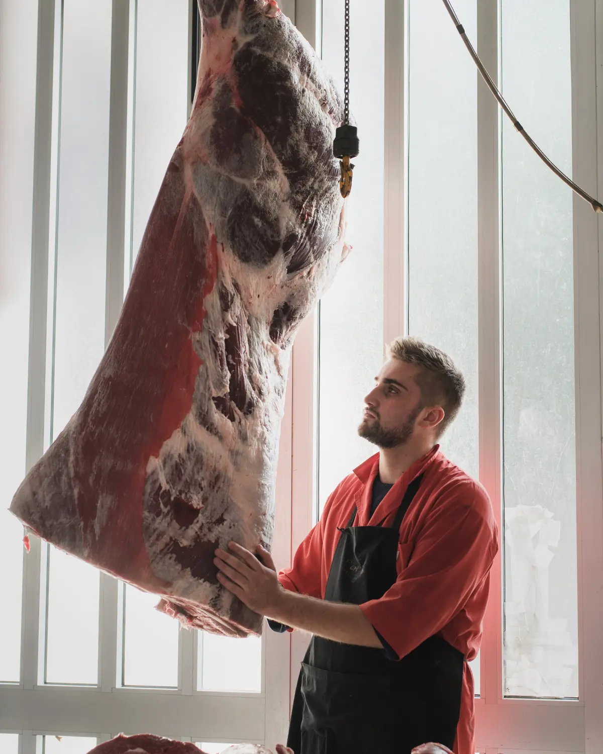 Una mezzena di bue appesa nel laboratorio della macelleria Oppici